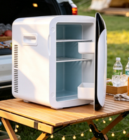 Mini congélateur de voiture Mini réfrigérateur Boîte isotherme 5L