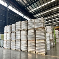 Polyacrylamide PAM Floculant Adsorbant pour le Traitement de l'Eau Pureté 99% Origine Henan CAS 9003-05-8 Sac de 25kg