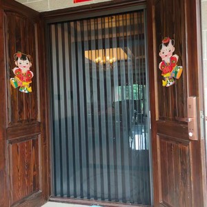 <b>Folding</b> <b>Screen</b> Door Stainless Steel Netting Easy Install Modern Design Entry Insect Resistant - Product Image 1