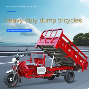 Motocicleta <span class=keywords><strong>de</strong></span> <span class=keywords><strong>Tres</strong></span> <span class=keywords><strong>Ruedas</strong></span> con Motor a Gasolina Certificada EEC Triciclo <span class=keywords><strong>de</strong></span> Carga Pesada para Uso Doméstico y Agrícola - Product Image 3