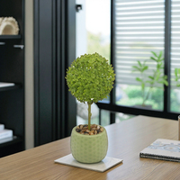 Plante Bonsaï Artificielle en Pot en Plastique – Décoration Écologique pour la Maison et le Bureau, Idéale pour Mariages et Noël