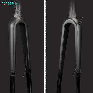 Fourche avant de vélo de route SeeMore 700C en fibre de carbone, axe traversant 100x12 mm, tige conique, frein à disque, légère et durable - Product Image 1
