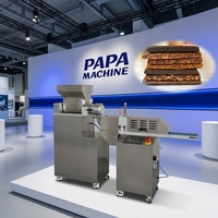 Snackbar productie-apparatuur/ Energiebar productielijn/ Dadelrepen extruder