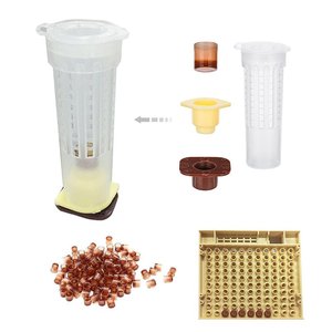 ชุดเลี้ยงผึ้งแบบมีช่องสำหรับเลี้ยงผึ้ง - Product Image 4