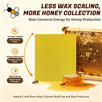 Feuilles de cire d'abeille naturelle en gros, taille de cellule 5,4 mm, pour une construction rapide des ruches, destinées aux apiculteurs professionnels