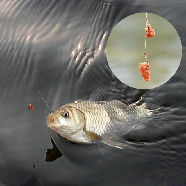 Red Worm Crucian Carp Fishy Fragrance Swelling Particle Bait Food for Big Fat Head Fish Silver Carp Carp Fish Bait Bait for Fish