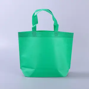 Non Woven Bag Cusntom Logo Non Woven Bags Environmentally Friendly Printed Non Woven Carry Bag