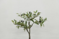 Oliviers artificiels en pot PE pour la décoration de bureau et de paysage pour les vacances et les occasions spéciales-Anniversaire et Pâques