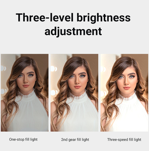 Logo personnalisé RGB 2500K-9000K Dimmable LED RGB Kit d'éclairage de conférence Studio Pocket Fill Light - Product Image 4