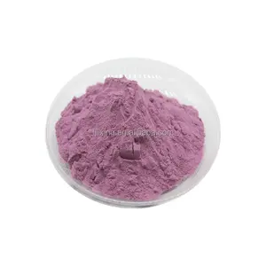 Healthy Nutritious Freeze Dried Blueberry Powder Juice Cook Bake Cheap Wholesale