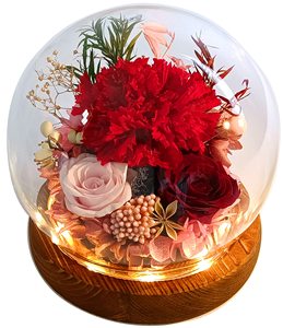 Nuove idee di prodotto 2024 bellezza alla ragazza rosa regali di fiori per natale romantiche sete rosse per la moglie mamma set <span class=keywords><strong>regalo</strong></span> per gli uomini e le donne - Product Image 2