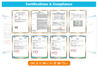 Fabricant OEM – Nouveauté Cactus en Peluche Interactif : Chante, Danse, Enregistre et Se Tord, avec Lumière – Idéal Cadeau de Noël – Emballage Opp