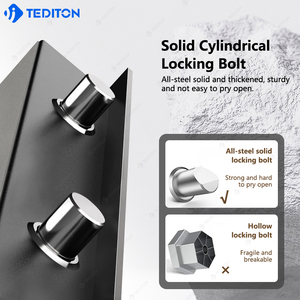 टेडिटन ऑफिस मनी बड़ी सुरक्षा इलेक्ट्रॉनिक डिजिटल बायोमेट्रिक फिंगरप्रिंट टलॉक उच्च गुणवत्ता वाले स्मार्ट सुरक्षित बॉक्स - Product Image 6