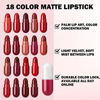 Ensemble de 18 rouges à lèvres minéraux en capsule certifiés CE, taille standard, longue tenue, imperméables, mats, ne tachent pas