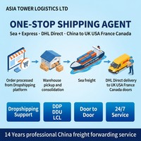 Transitaire maritime le moins cher Chine vers Royaume-Uni, États-Unis, France, Canada DDP DDU LCL Express Agent d'expédition directe DHL Dropshipping
