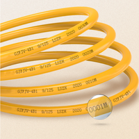 Venta Directa de Fábrica, Cable Óptico Interior GJFJH/GJFJV, Cable de Fibra Óptica Monomodo G652D G657A