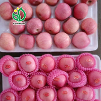 (Vente en gros Fuji) Pomme rouge Fuji authentique du Shandong, croustillante et sucrée, fruit frais à vendre