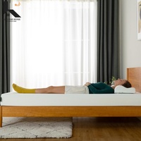 Mittelharte Memory-Foam-Matratze im Karton, CertiPUR-US-zertifiziert, waschbarer, abnehmbarer Bezug