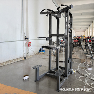 Attrezzo Fitness Robusto a Carico Selezionabile per Dip/Chin Assistiti - Trainer Multifunzione per Trazioni Assistite e Allenamento Muscolare - Product Image 3