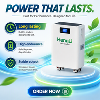 Batterie LiFePO4 15-16 kWh à sortie d'usine, 51,2 V 314 Ah, 10 000 cycles, cellules de qualité A, stockage d'énergie domestique pour systèmes solaires 6-20 kW
