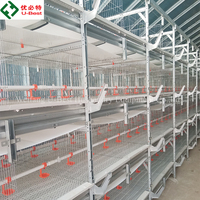 Cages pour poulets de chair de type H, cages automatiques pour poulets de chair, équipement d'élevage avicole automatique, cage d'alimentation automatique pour poulets