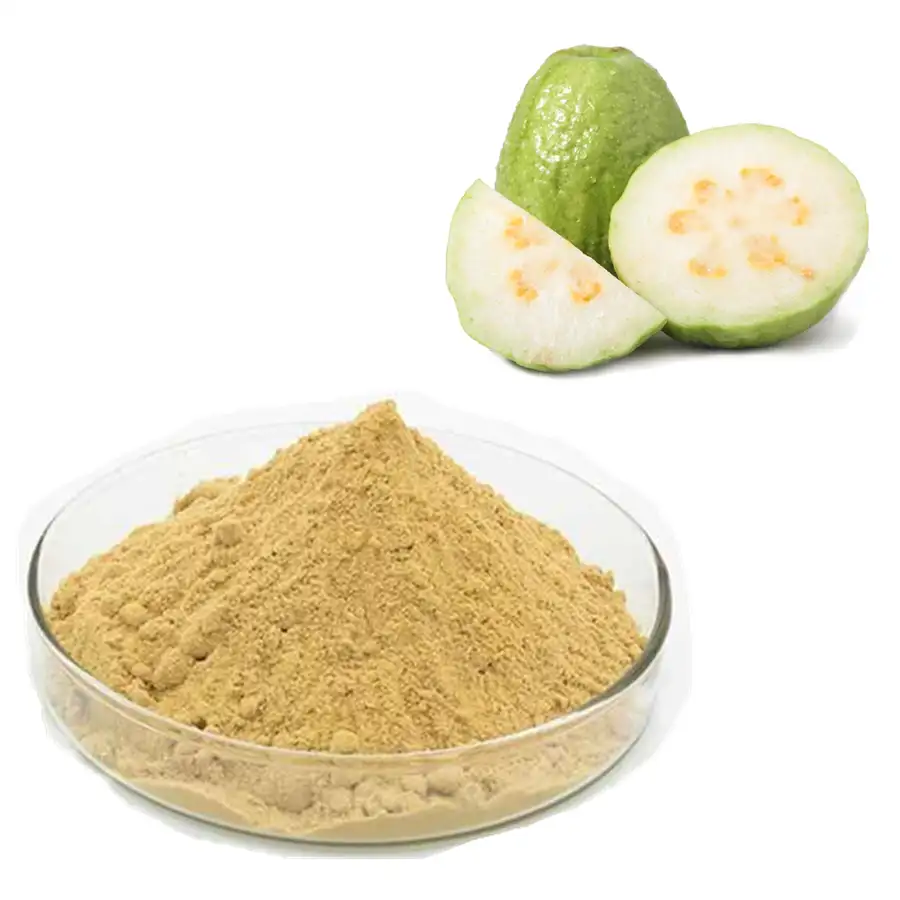 private label free sample natural guava fruit juice powder/guava fruit extract/guava leaf extract 10:1