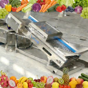 Línea de Producción de Limpieza de Frutas y Verduras con Pulverización de Alta Presión Totalmente Automática, Lavadora de Verduras para Cocina Centralizada - Product Image 6