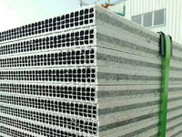 Ligne de production de coffrage mural creux en PP ZhongSu pour panneaux en plastique, haute productivité, moteur, gabarit de construction en plastique