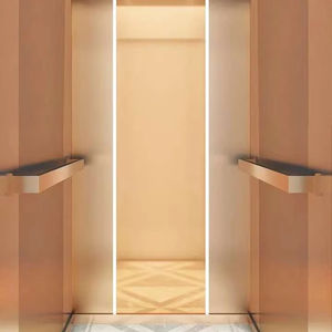 Ascenseur hydraulique en verre résidentiel moderne OTIS pour villas, entraînement par courant alternatif, ascenseur domestique, machine à traction sans engrenage, planchers en PVC, CE/EAC - Product Image 1