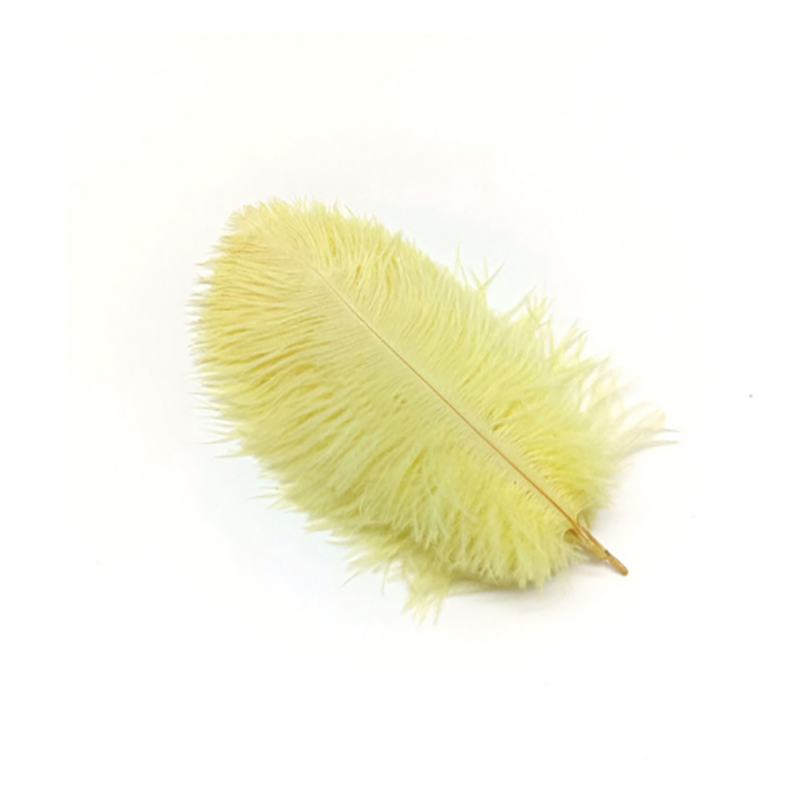 Color 6