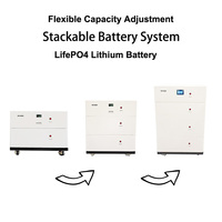 Batterie solaire domestique LiFePO4 51,2V 100Ah-300Ah 200Ah |   Pack de stockage d'énergie au lithium-ion 10-15 kWh avec communication CAN pour système énergétique