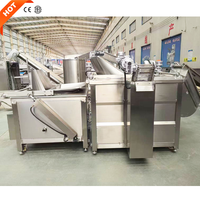 Friteuse Électrique Automatique Multifonctionnelle KAYA pour Chips de Plantain, Arachides, Maïs et Noix, en Acier Inoxydable, Sans Huile, pour Usine