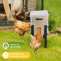 Mangeoire à poulet JH-Mech, prix d'usine, hauteur réglable, résistante aux intempéries, 4 ports, mangeoire à poulet en métal argenté