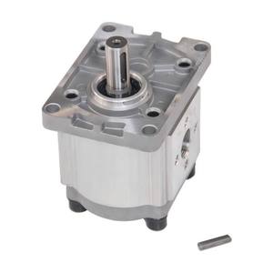 Pièces de rechange pour chargeuse sur pneus HANSEN, pompe hydraulique de commande CBNF310, matériau en fer, garantie 1 an, OEM pris en charge - Product Image 1