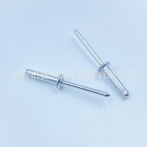 Rivets aveugles en forme de lanterne Shuangxuan 4.8x21 en acier à tête ouverte et tête ronde pour usage général - Product Image 1