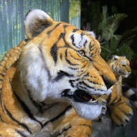 Statue d'animaux de simulation robotique personnalisable en usine pour la décoration de zoo et de parc à thème, modèle de tigre animatronique réaliste en mouvement