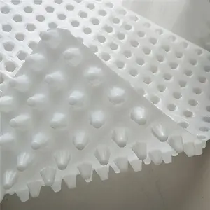 High Quality Plastic HDPE Dimple Drain Board Factory Prices Drainage Protection