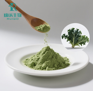 Toptan <span class=keywords><strong>100%</strong></span> doğal organik <span class=keywords><strong>Kale</strong></span> tozu 99% sebze özü gıda sınıfı ot bitkisel özü fabrika doğrudan satış - Product Image 6