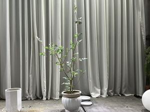 Arbre de clochettes artificiel, plante verte artificielle de luxe, plante artificielle d'intérieur, plante en pot bionique, décoration de salon, <span class=keywords><strong>Pieris</strong></span> <span class=keywords><strong>Japonica</strong></span> - Product Image 5