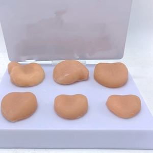 Modelo Anatómico de Tumor Prostático Humano para Ciencias Médicas, Modelo de Anatomía Humana - Product Image 2