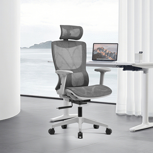 Trung Quốc Ergonomic nhiệm vụ nặng nề Ghế văn phòng đầy đủ lưới Quản lý máy tính ghế màu xám cho văn phòng với thắt lưng hỗ trợ silla oficina - Product Image 1