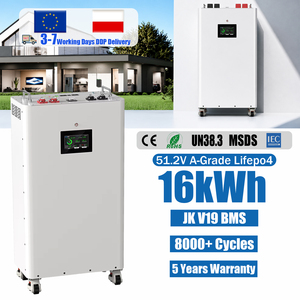 Batterie de stockage d'énergie JK V19 BMS 16 kWh, 314 Ah, 51,2 V, cellule photovoltaïque domestique, 8000 cycles, batterie lithium 16 kWh, stock UE - Product Image 1