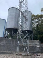 Silo en acier de haute qualité de 50 tonnes pour l'alimentation animale silos de stockage de céréales de petite capacité à bas prix