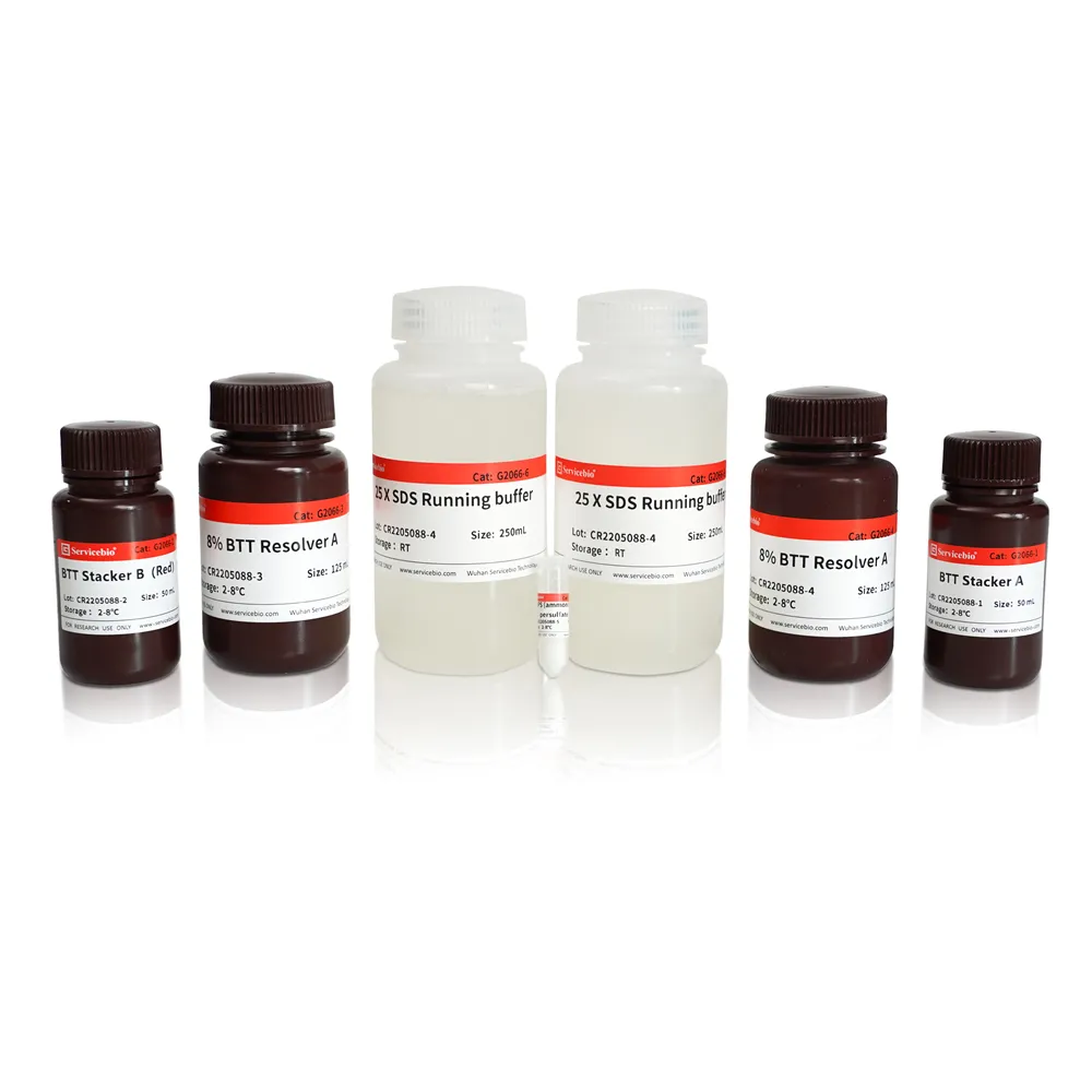 Chemical Reagents 8% BTT Fast-Cast Colorful Red Acrylamide Gel Preparation Kit