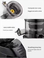 Koudgeperste zelfreinigende 300ml roestvrijstalen elektrische slowjuicer met stekker, voedingsstoffenmolen voor gebruik in de auto