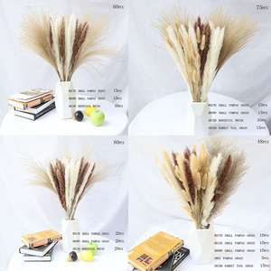 Offre Spéciale <span class=keywords><strong>vase</strong></span> en <span class=keywords><strong>verre</strong></span> naturel herbe de <span class=keywords><strong>pampa</strong></span> sèche ensemble cadeau préservée petite herbe de <span class=keywords><strong>pampa</strong></span> séchée blanche avec boîte de <span class=keywords><strong>vase</strong></span> en <span class=keywords><strong>verre</strong></span> - Product Image 6