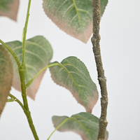 Arbre artificiel en pot de 105 cm, peuplier artificiel, plantes vertes, plantes en pot, décoration pour hôtel, maison, café