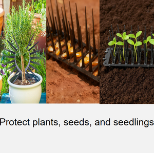 Magicatch - Espiga Antipájaros Moderna de PP Ecológico con Base Hueca de 10 cm, Multisegmentos y Flexible para Techos y Alféizares de Ventanas - Product Image 6