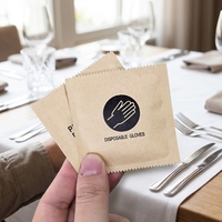 Vente directe d'usine, lot de 2 gants jetables en polyéthylène pour la restauration rapide, cuisine, utilisation facile