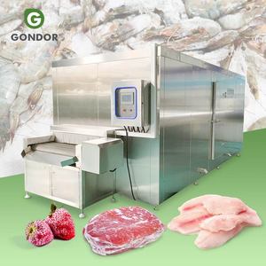 Túnel Criogénico de Congelación Rápida para Atún de 100 Kg, Equipo de Congelación por Impacto para Frutas y Verduras - Product Image 1